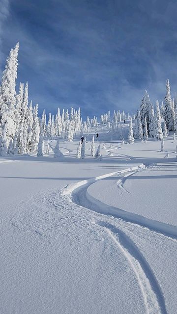 Heliski és freeride Európa