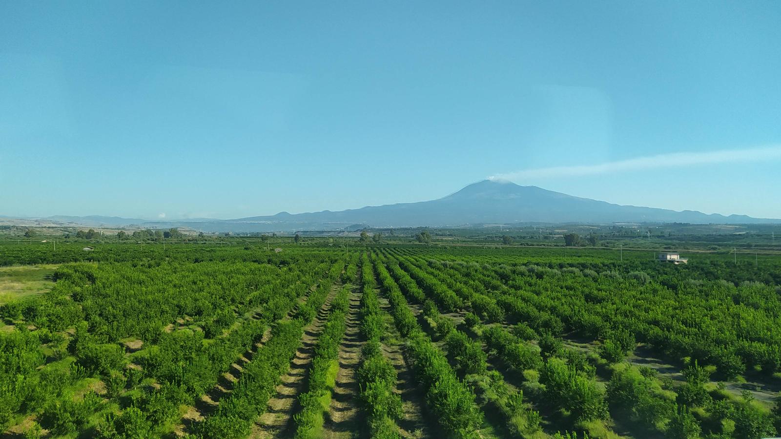 Szicília - Etna - Olasz bor